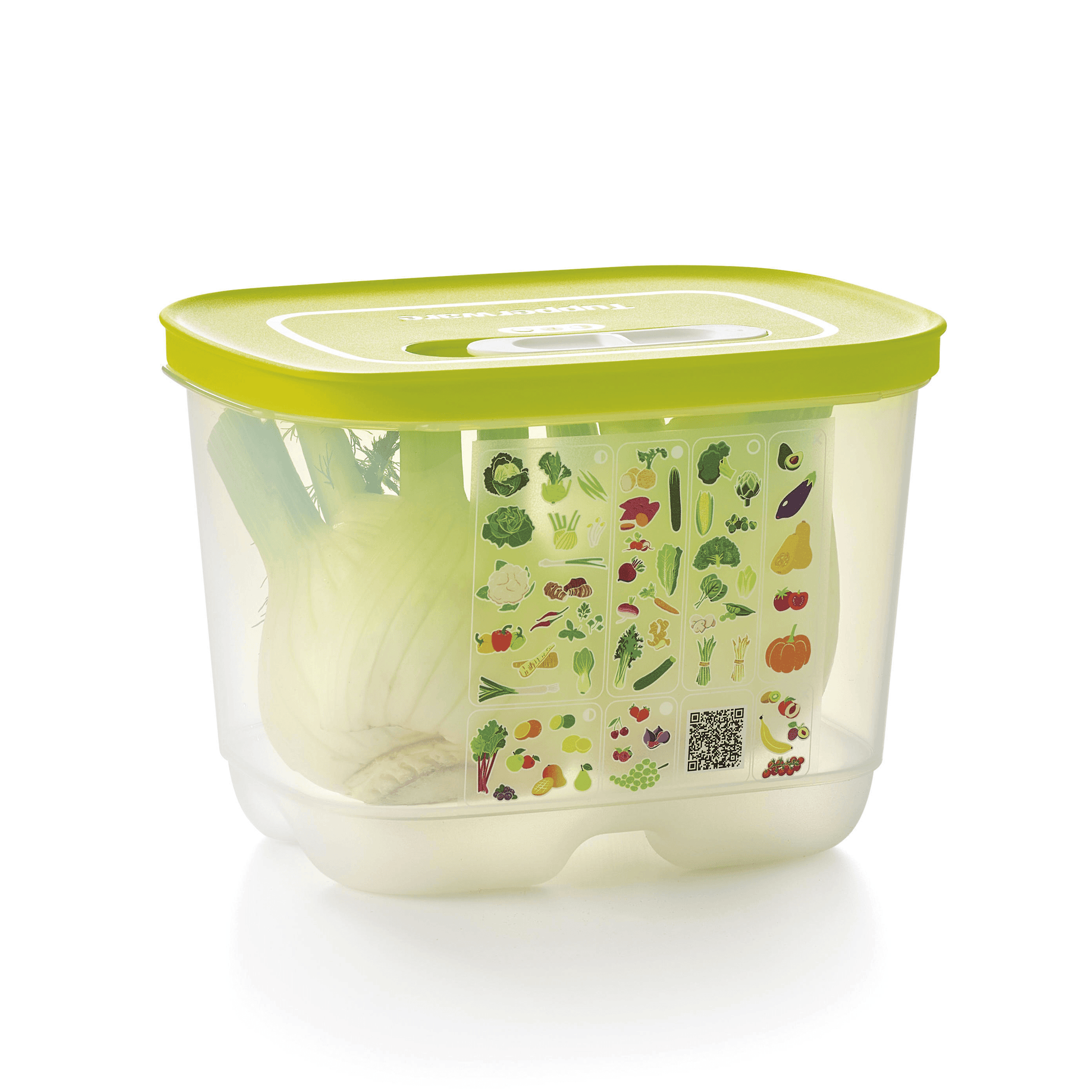 FridgeSmart? Small Deep